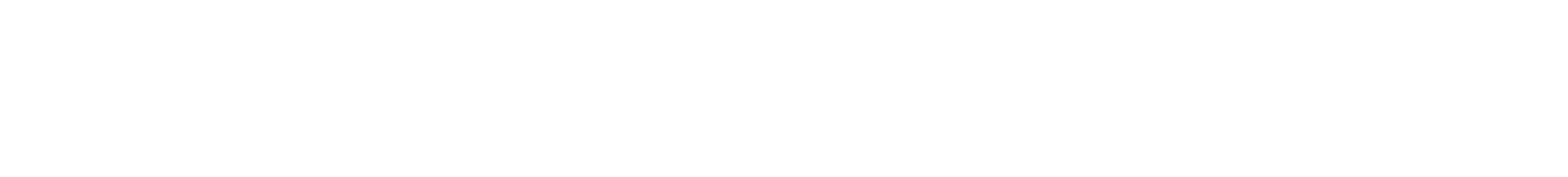 wordmark-white